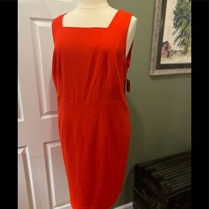 NWT Kasper sleeveless sheath dress in beautiful tangerine. Size 18w.